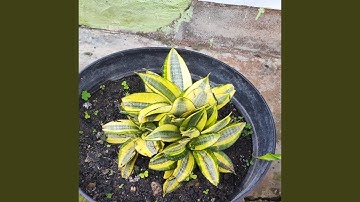 When the Sky Breaks Open