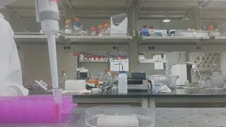 Iowa State University working on at-home COVID-19 test