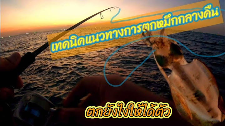 เทคนิคการตกหมึกกลางคืน ตกยังไงให้ได้ตัว