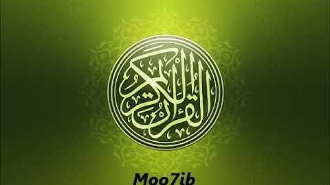 سورة النساء القارىء عامر الكاظمي بجودة عالية