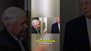 Lindsey Graham's Political Betrayal: The Truth Revealed