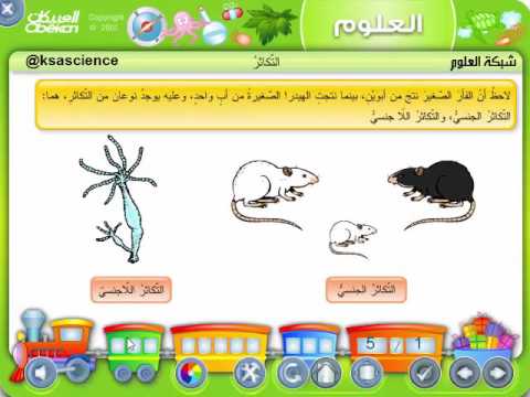 أنواع التكاثر