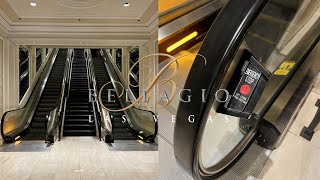 clapham south escalators 7EP サイコビリー　ガレージ clapham south escalators 7EP サイコビリー ガレージ 洋楽