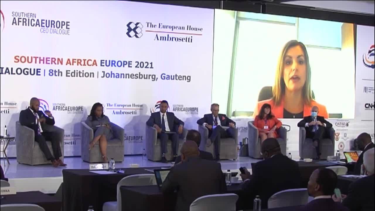 Still from Southern Africa - Europe 2021 CEO Dialogue: CEO's Views on African Business