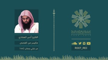 ماتيسر من سورة القصص - القارئ أنس العمادي