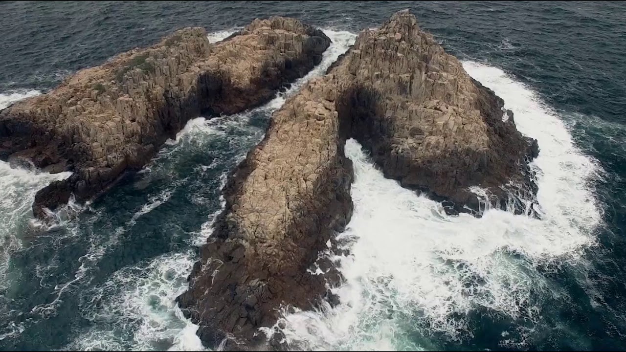 Beauty of Noble Collection