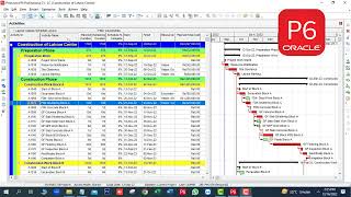 How to change Activity ID's order in Primavera I Activity ID's in Ascending Order #primavera