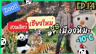 Chiang Mai Zoo Vs Winter land สวนสัตว์เชียงใหม่ อัพเดตล่าสุด ตะลุยเมืองหิมะ หนาวสุดขั้ว-10 องศา