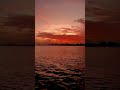 মালদ্বীপের সুন্দর সূর্যাস্ত#Maldives beautiful sunset #@ #flyingbird#shortvideo #arbic 🏝️