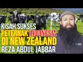 Kisah Sukses Perternak Sapi Indonesia Di New Zealand Reza Abdul Jabbar
