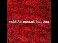 حالات واتساب دينة على انشودة ناديت وقلبي منكسر 