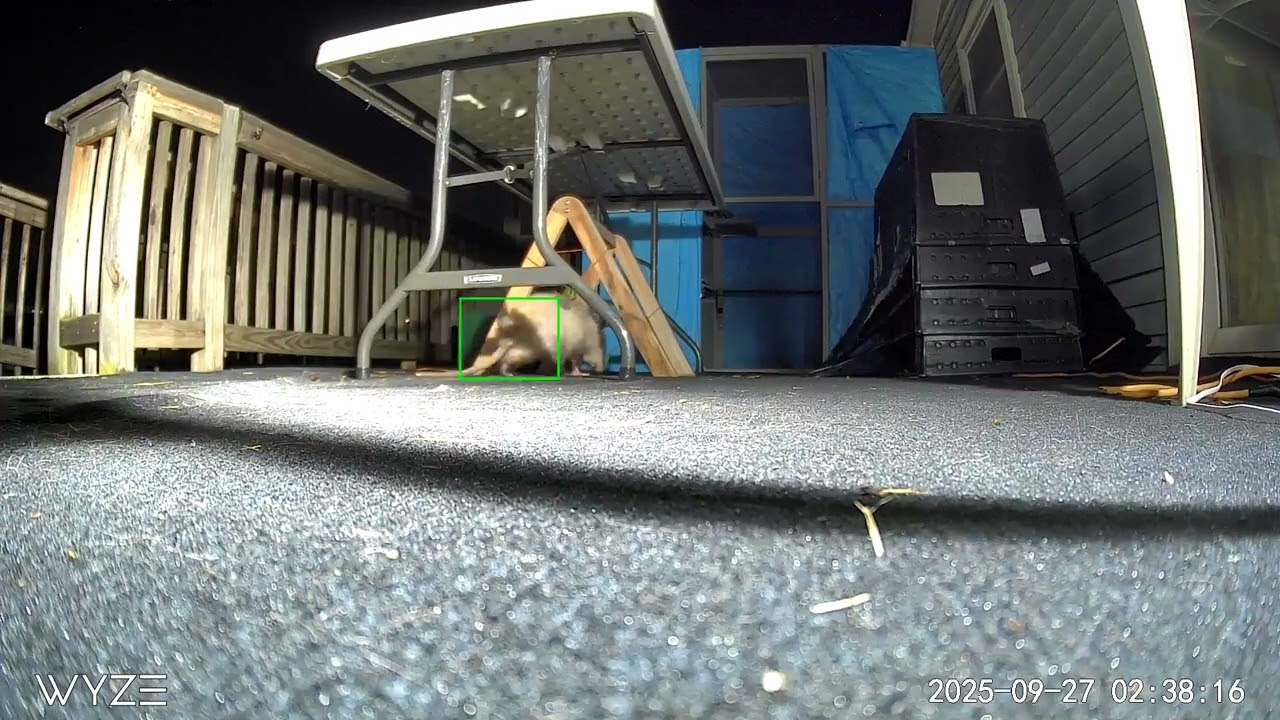 Fox Urine doesn't work for this guy, smh 🤦 