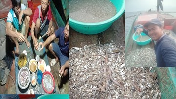 Tối nhậu lai rai  sáng  lụm mực đã tay # A Xiềl Dân Biển Youtube 