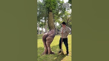 This tree is a bit naughty # Magical tree # Funny # Never expected # Tree has become a spirit