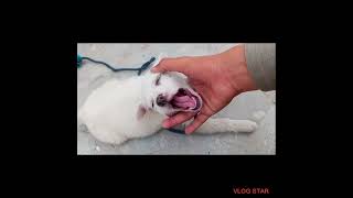 New surprise ka name comment main lekhen Fahad pet house 🏡🏠