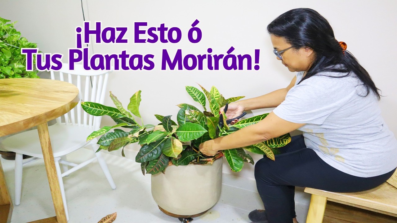 🟣 Cómo SALVAR tus Plantas Fácil y sin Misterio? | Consejos Sencillos para limpiar Tu Casa | VLOGS.