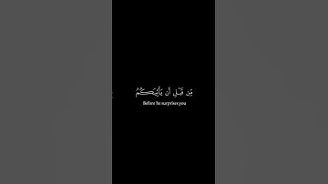 #قران_شاشة_سوداء #كروما_شاشة_سوداء | سورة الزمر | القارئ ياسر الدوسري #القران_الكريم_راحه_نفسية
