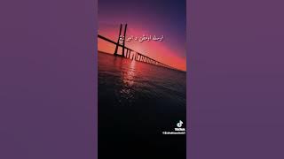 Umpan jinak di air tenang.cover rock