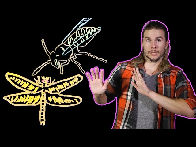Could FALLOUT-Sized Bugs Ever Happen?