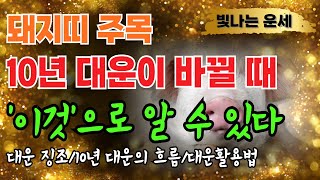 돼지띠 주목🤚대운이 나타나는 강력한 징조 &#39;6가지&#39; 대운잡는법 사주팔자 &#39;이렇게&#39; 대운을 잡아라🪷귀인운 귀인복 돼지띠 운세 돼지띠운세 돼지띠금전운 돼지띠말년운 말년운