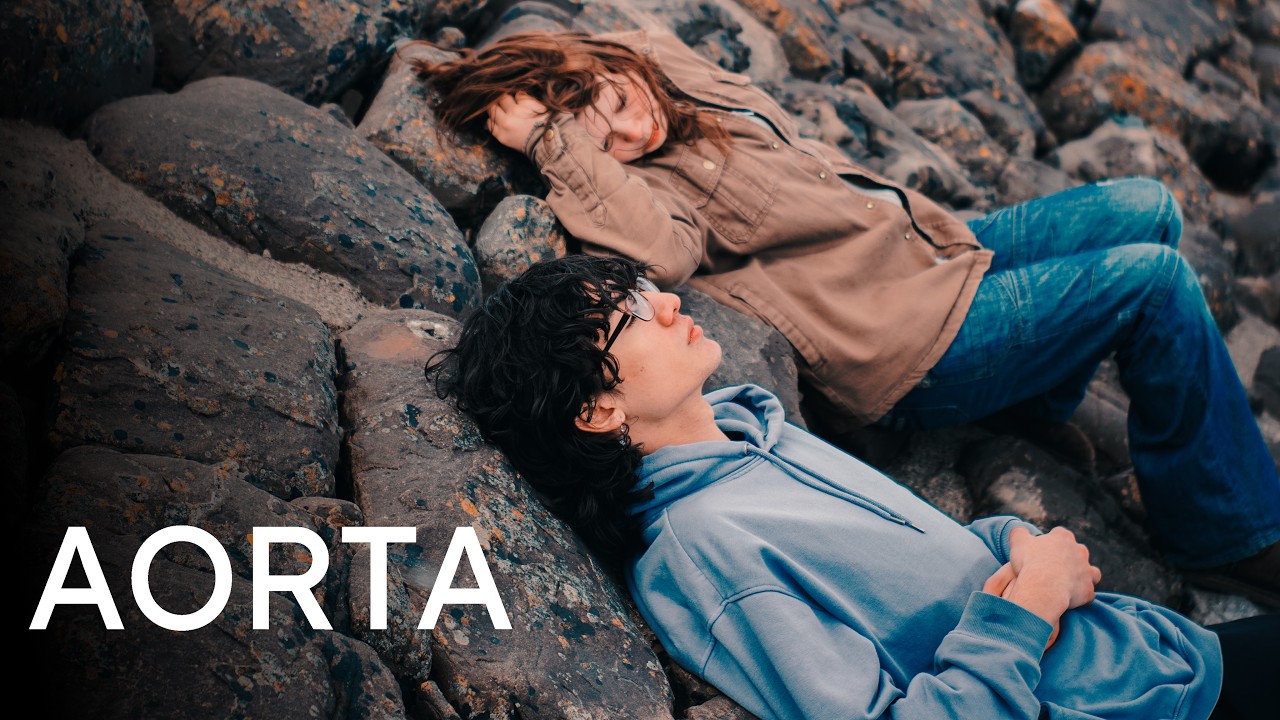 AORTA (2026)