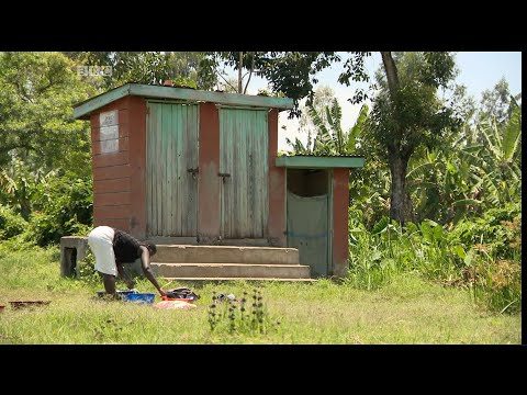 Video: Ni Lini Siku Ya Huduma Ya Usafi Na Epidemiolojia