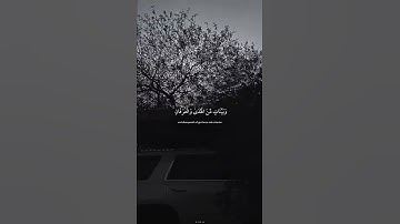 آيات قرانيه قصيره { شَهْرُ رَمَضَانَ الذي أُنْزِلَ فِيهِ القرآن } عبدالرحمن مسعد ارح قلبك🤍.