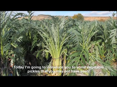 Video: Cara Membuat Artichoke Acar