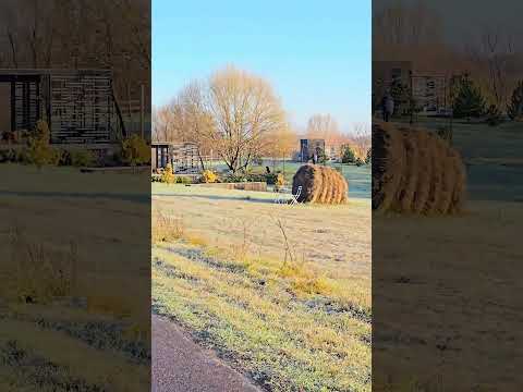 Холки camp, глэмпинг в Белгородской области.Glamping in the Belgorod region. #северскийдонец