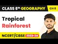 Class 6 Geography Chapter 8 | Tropical Rainforest - India: Climate, Vegetation and Wildlife