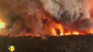 Navy comes to aid of thousands trapped in Australia bushfires