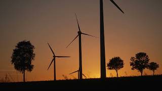 wind turbine sunset with trees on field 02 - Free (for commercial use) Footage - 4K