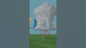 Don