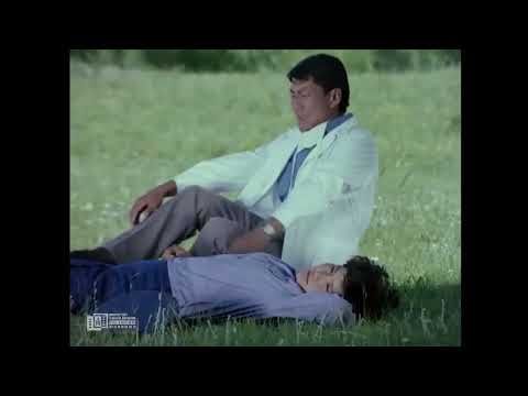 Би нисэх дуртай кионы хэсэг