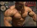 Bodybuilding muscle DVD Guns 7 preview