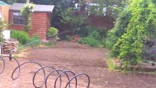Gardena Lawn Sprinkler Test
