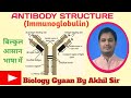 ANTIBODY, IMMUNOGLOBULIN, एंटीबॉडी