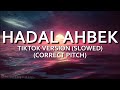 Hadal Ahbek TikTok Version Slowed CORRECTED PITCH Issam Alnajjar