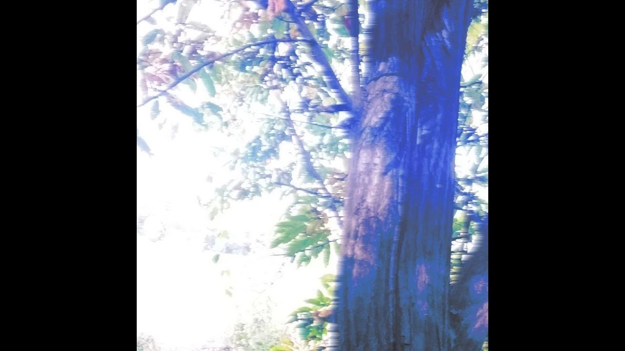 pluggnb + bladee + yung lean type beat 