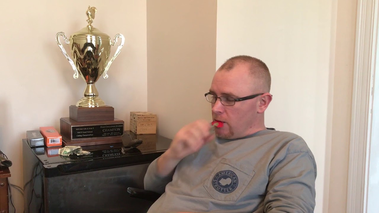 Turkeys on the roost talking early morning turkey calling! YouTube