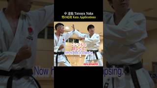 Use the kata! ”Heian Nidan” Application【Tatsuya Naka】