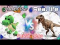 Adopt me VS Real life Fossil pets Rxse water