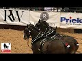 Budweiser Clydesdales - 2019 WRCA World Championship Ranch Rodeo (Saturday)