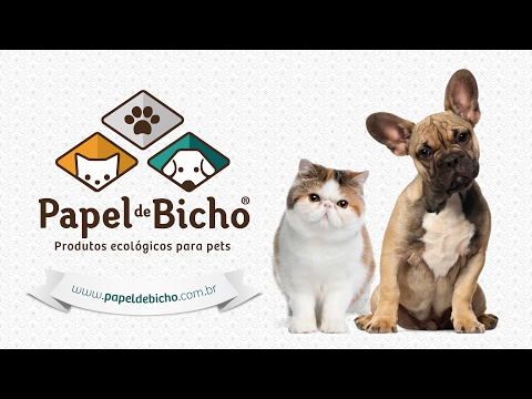 Vídeo: Produtos Ecológicos Para Cães