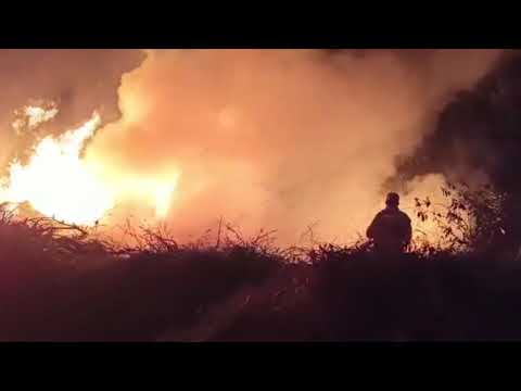 Bombeiros combatem a incêndio em mata na João Paulo II em Araxá