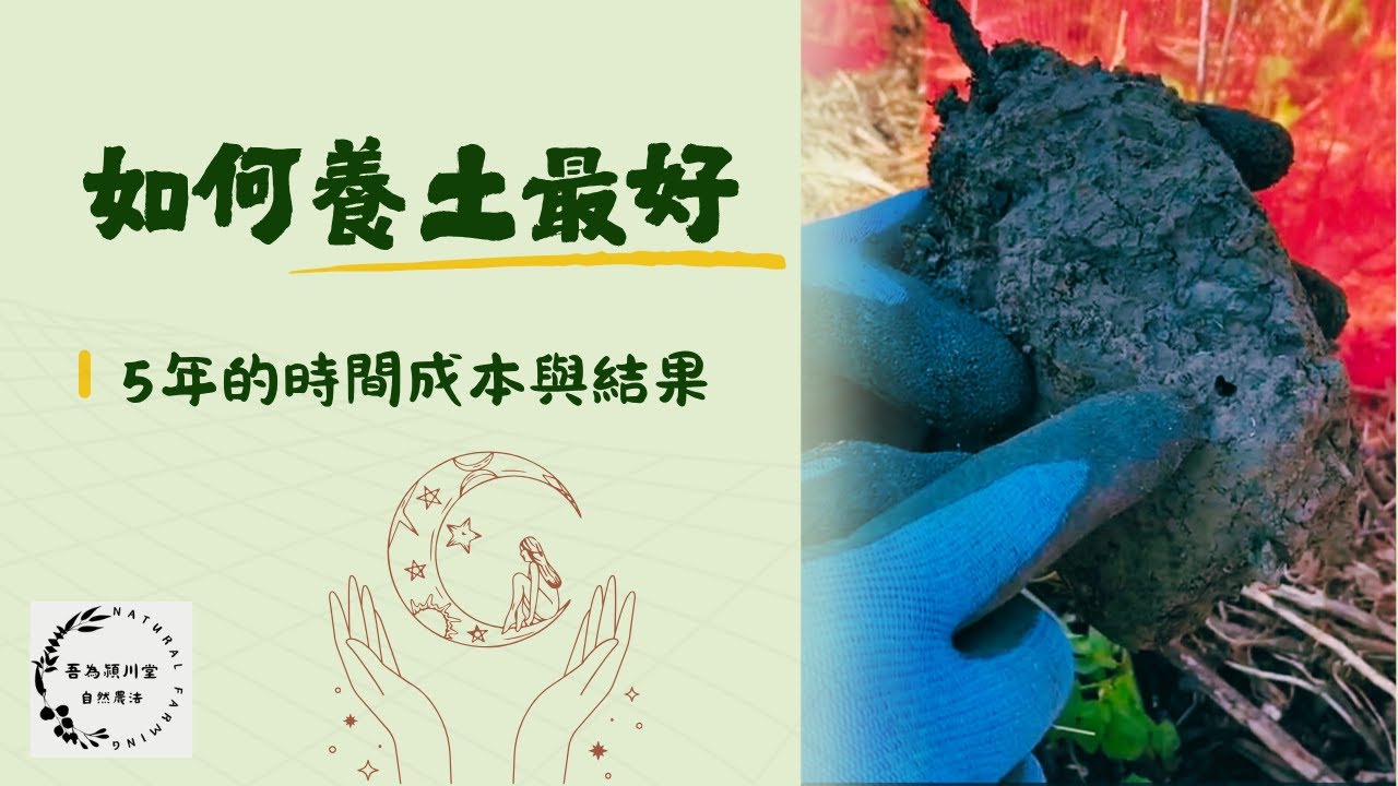 如何養土最好 5年來養土結果比較 [自然農法 吾為潁川堂]