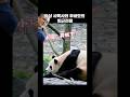 쉬샹 사육사와 푸바오의 퇴근전쟁(?) 아무리 불러도 미동도 없는 푸바오, 우리 푸바오 쉬운 여자 아니랍니다.