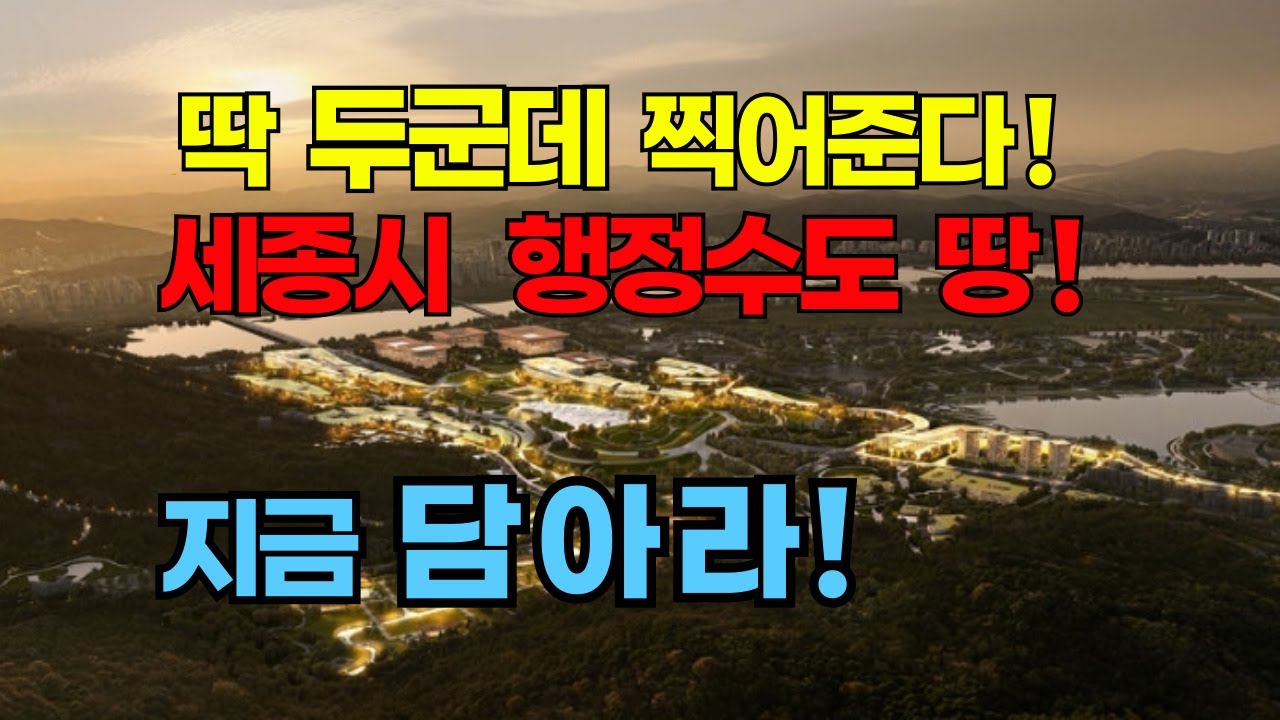 저평가 된 세종시 땅! 딱 2군데 찍어준다!  새로운 서울!  세종시 반드시 오를 땅값!   과연 어디가  가장  오를것인가?   어디에 투자할 것인가?
