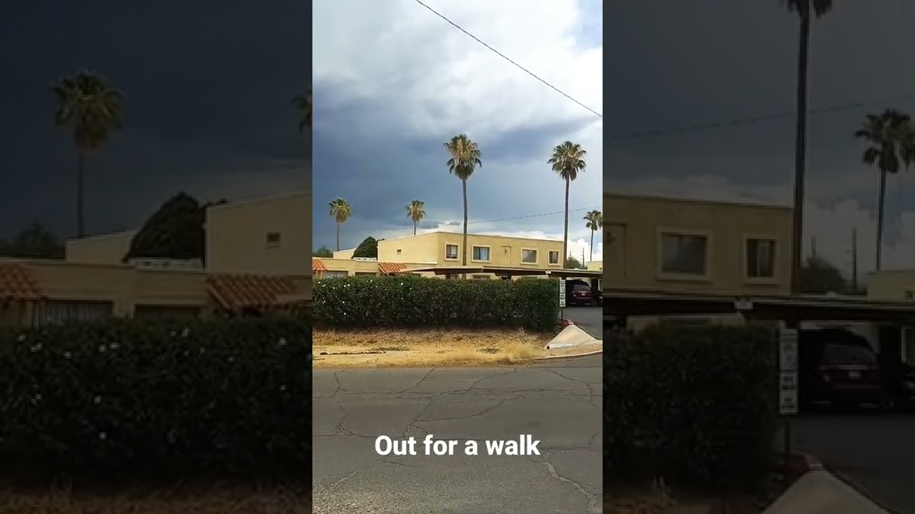 Getting in my steps for the day and was enjoying the dramatic skies.