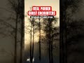 New Horror Podcast - Real Pahadi Ghost Stories #horrorpodcast #indianghoststories #horrorshorts